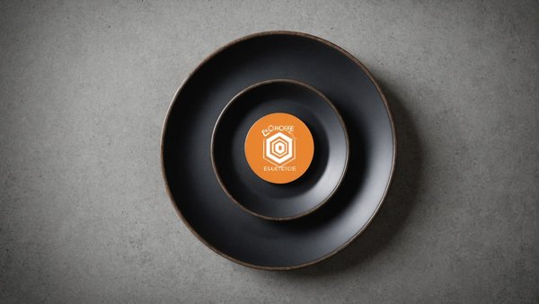 Optez pour la plaque eutectique cartouche 500 cc pour les pros